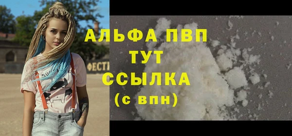 хмурый Вяземский