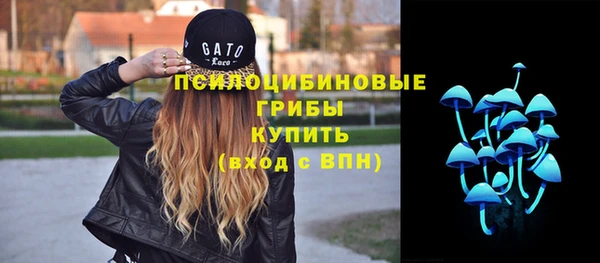 ешки Вязники