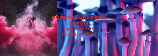 хмурый Вяземский