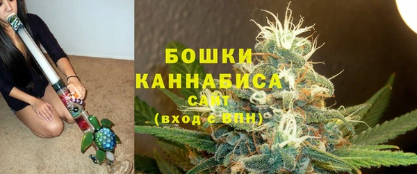 хмурый Вяземский