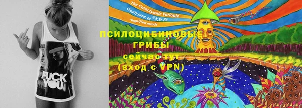 ешки Вязники