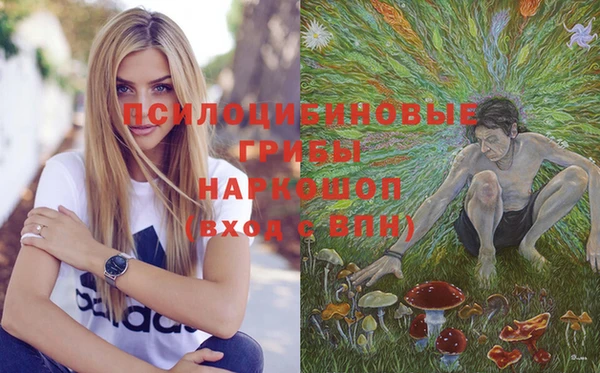 хмурый Вяземский