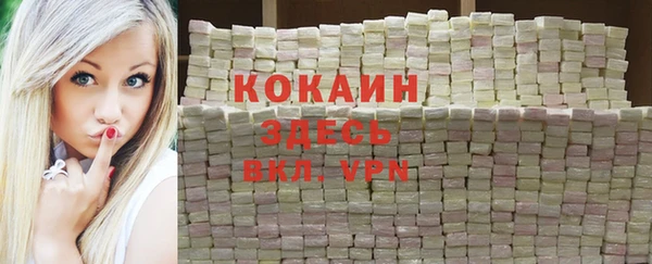 хмурый Вяземский