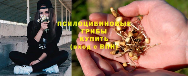ешки Вязники